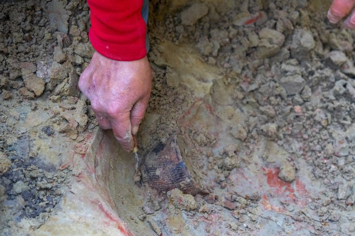 Итоги археологического полевого сезона-2025 ученых СурГУ