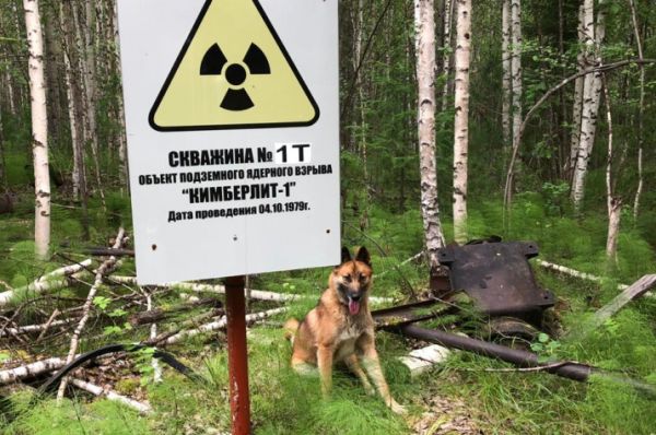 Ядерный взрыв: ситуация штатная Ядерный взрыв: ситуация штатная