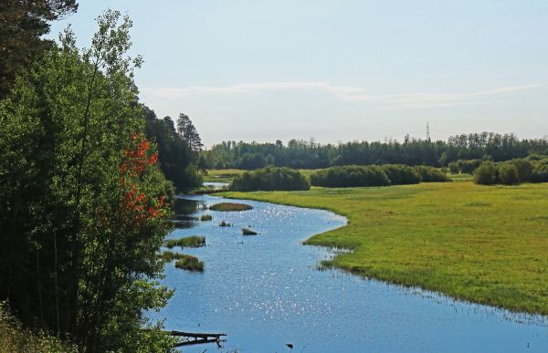 В глубину веков. От Железного века до Средневековья. В глубину веков. От Железного века до Средневековья.