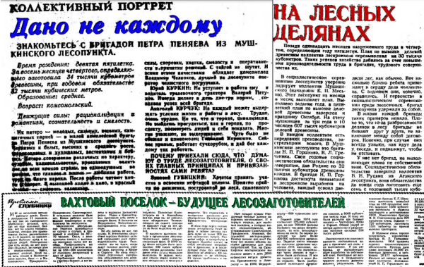 Мушкинский лесопункт. 1974 год Мушкинский лесопункт. 1974 год