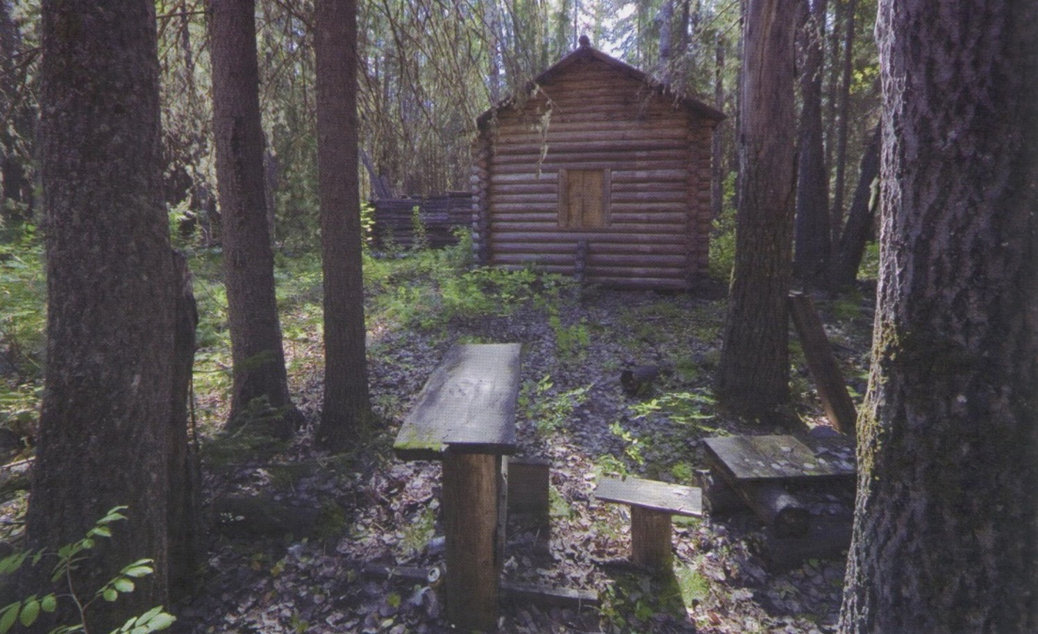 Акция дарения «Сохраним историю вместе»