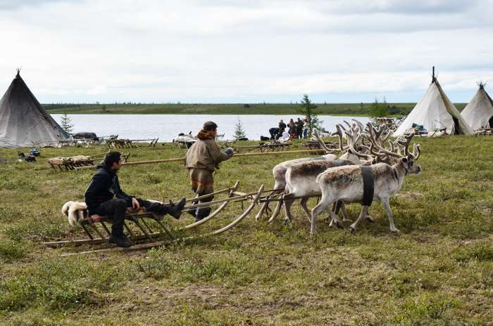 Загадки Севера