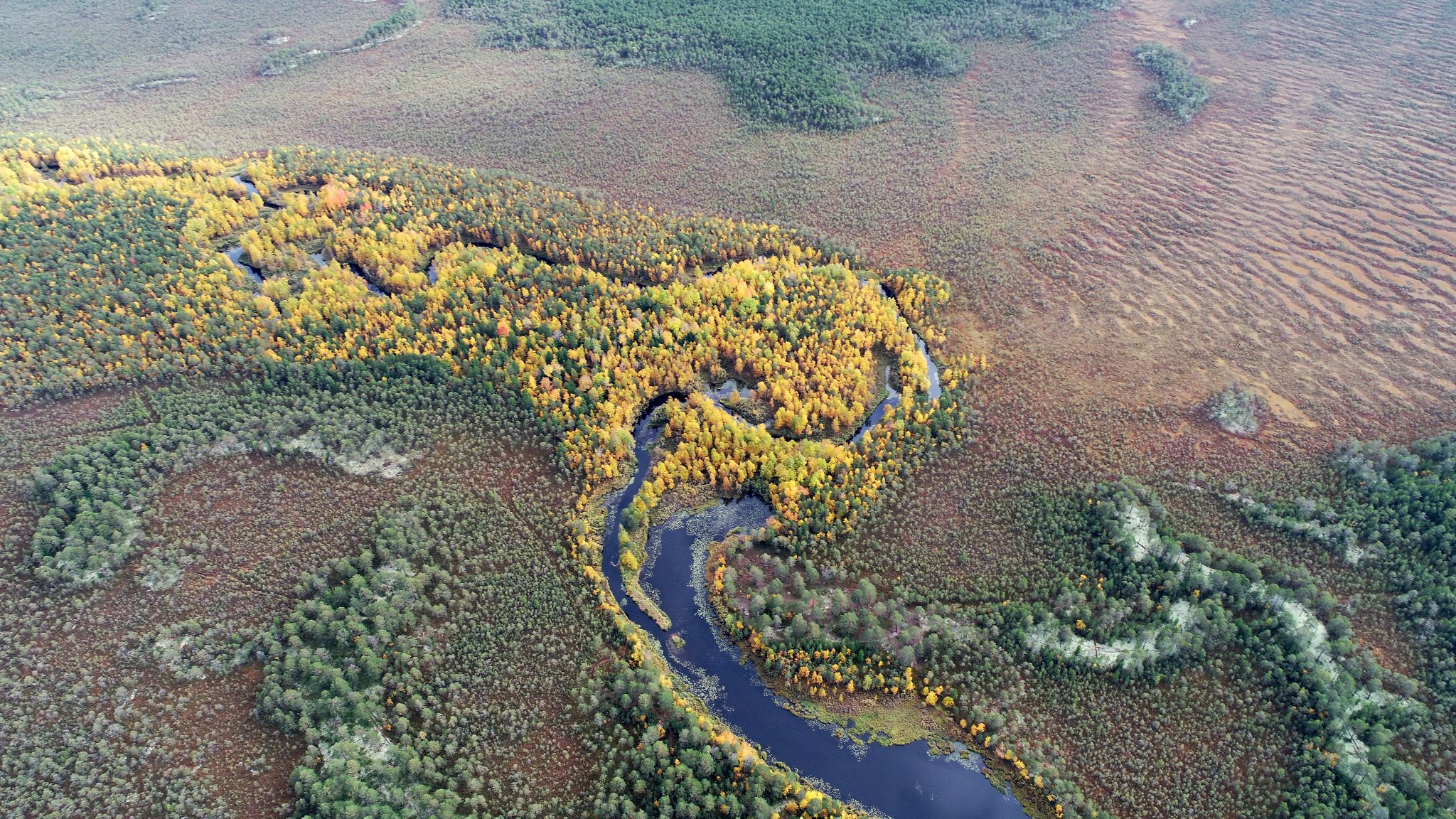 О проекте природного парка «Пунси» в Нефтеюганском районе