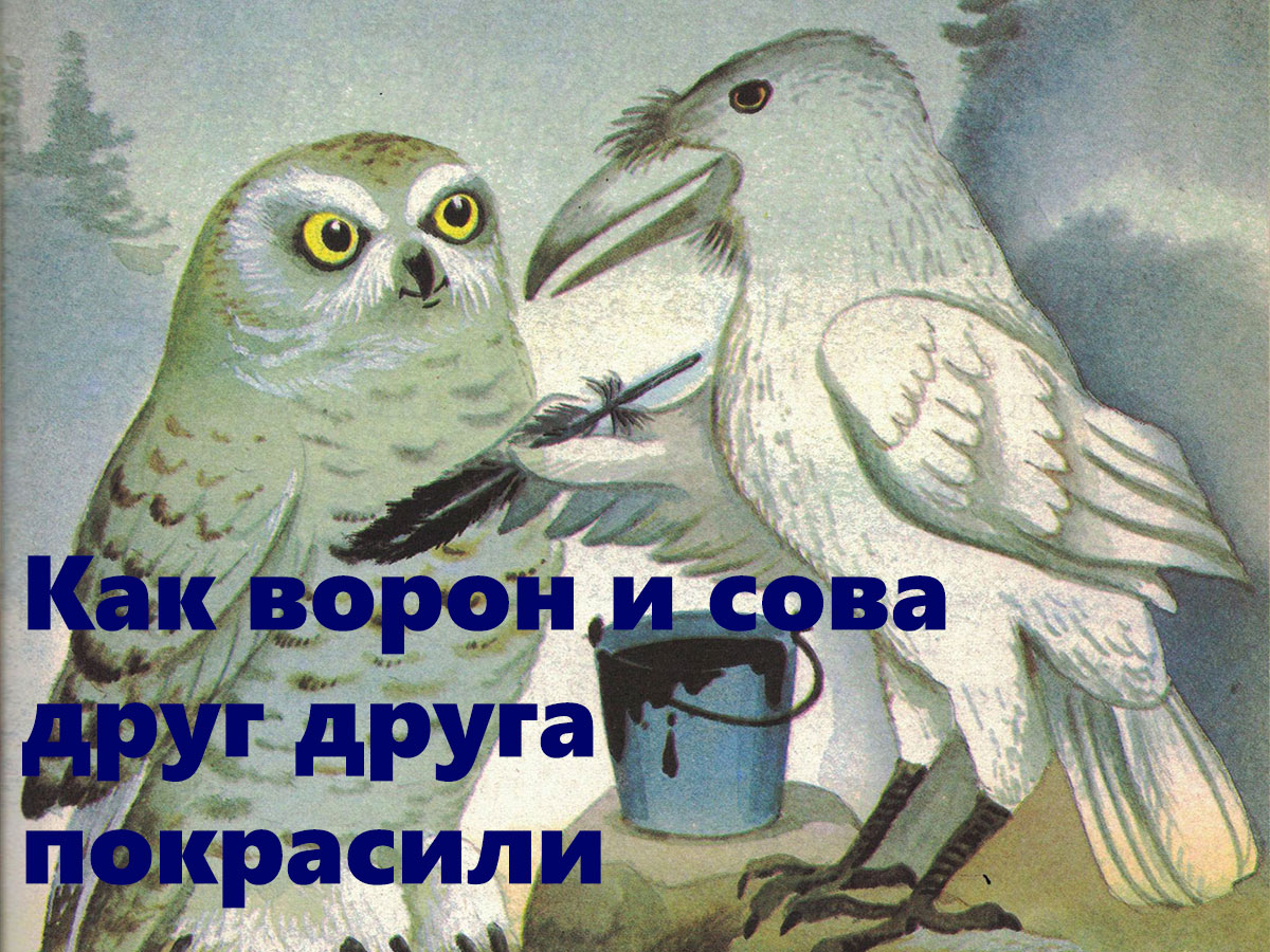 Как ворон и сова друг друга покрасили