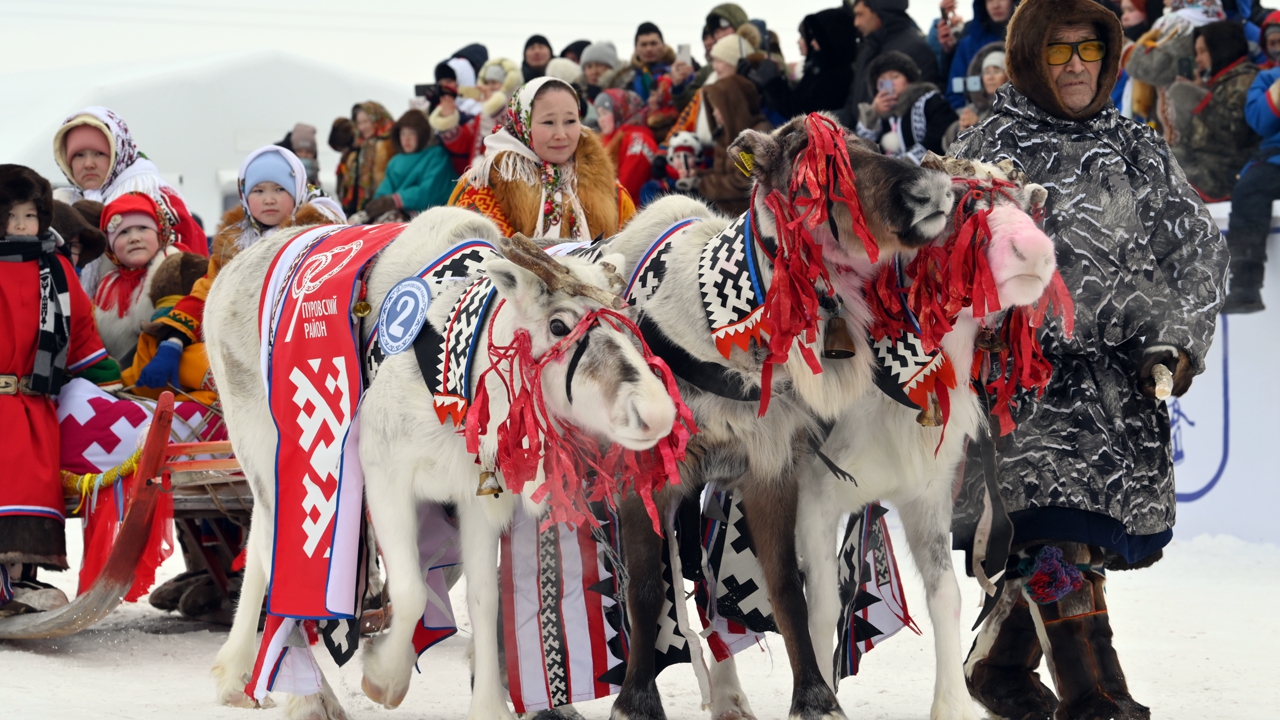 День оленя или День оленевода