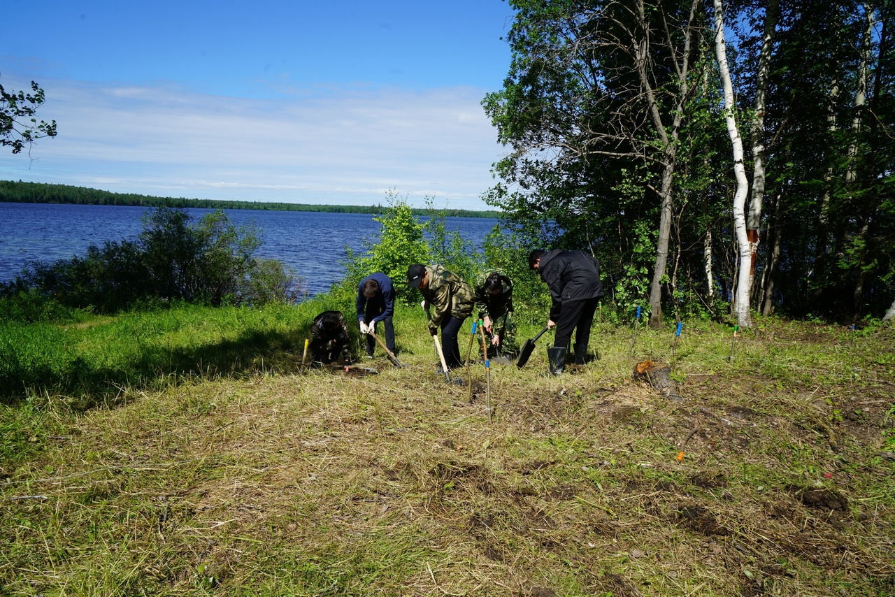 Школьники из Трудового археологического лагеря нашли в Салыме захоронение ребенка вождя Школьники из Трудового археологического лагеря нашли в Салыме захоронение ребенка вождя