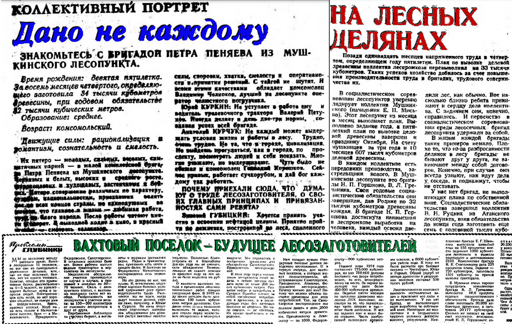 Мушкинский лесопункт. 1974 год