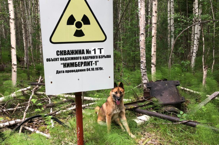 Ядерный взрыв: ситуация штатная