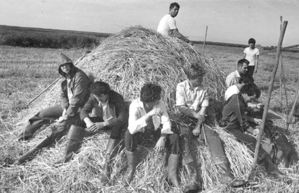 Сенокосная пора