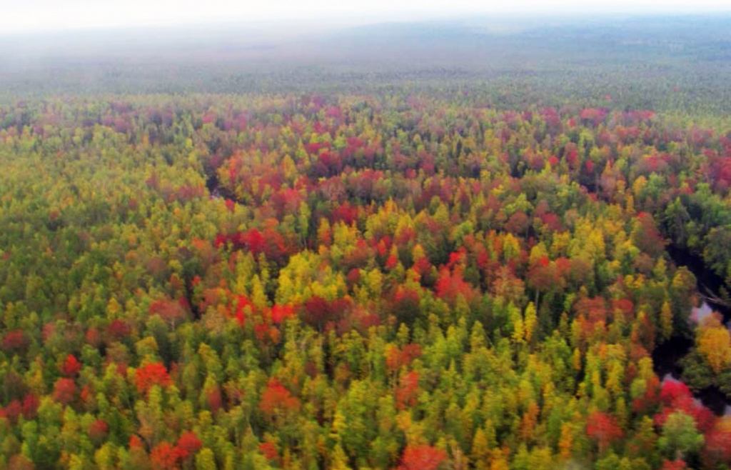 Река Берёзовая. Соровские озёра