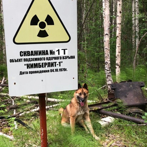 Ядерный взрыв: ситуация штатная