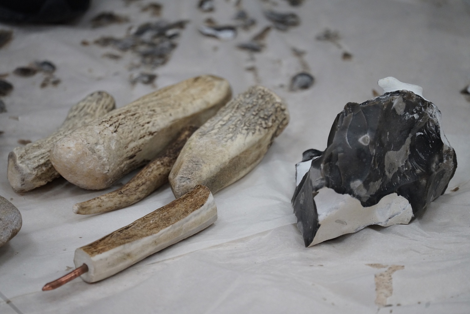 Югорские археологи научат школьников вскрывать кокосы древними остроконечниками 