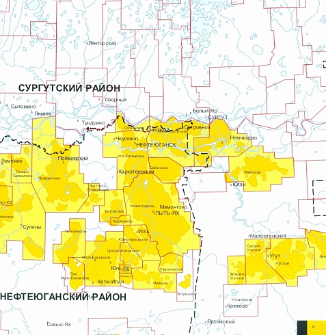 РН Юганскнефтегаз. 30 лет