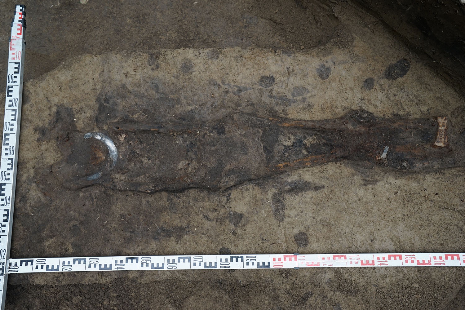 В Священной Кедровой Роще в ХМАО-Югре нашли вождеское захоронение возрастом 1,5 тыс. лет 