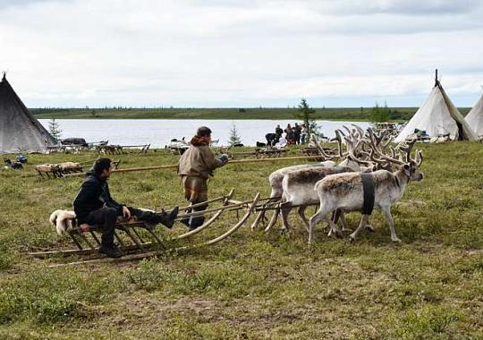 Загадки Севера