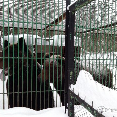 База туризма и отдыха "Парус"