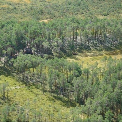 Объект культурного наследия регионального значения – достопримечательное место «Пунси» 
