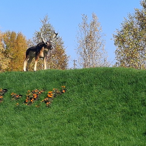 Парк "Зеленый остров"