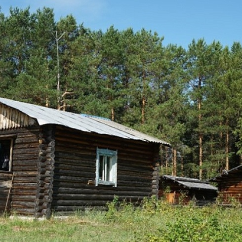 О проекте природного парка «Пунси» в Нефтеюганском районе