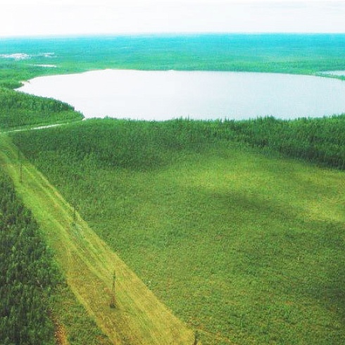  Салымский метеорит