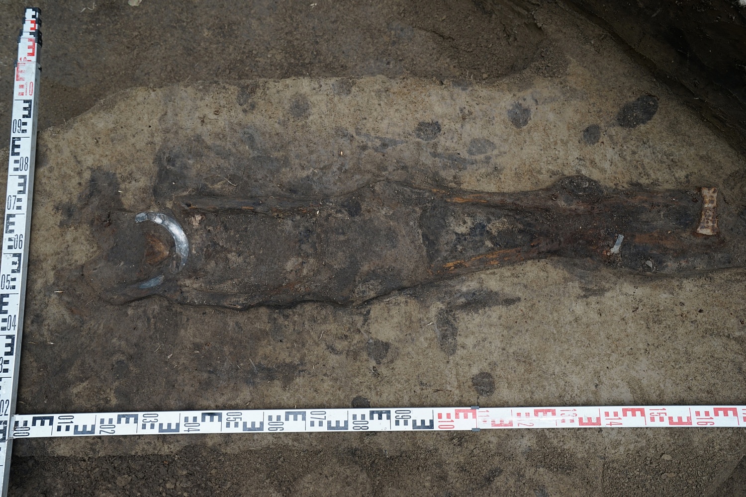 В СурГУ древнего югорчанина подготовили к отправке на исследование 