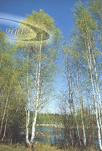 Моя малая родина. сп. Усть-Юган. 