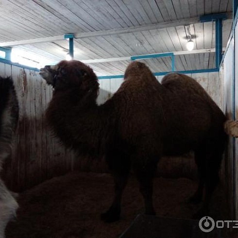 База туризма и отдыха "Парус"