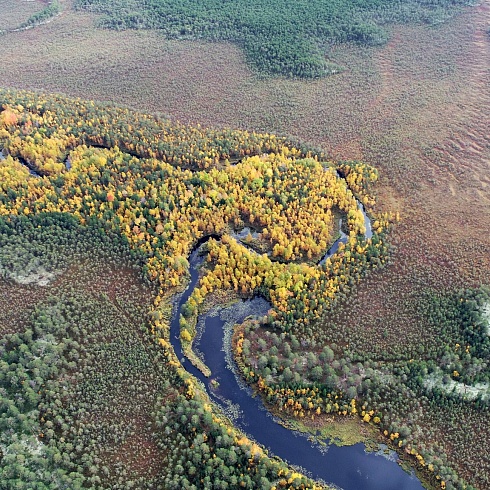 О проекте природного парка «Пунси» в Нефтеюганском районе