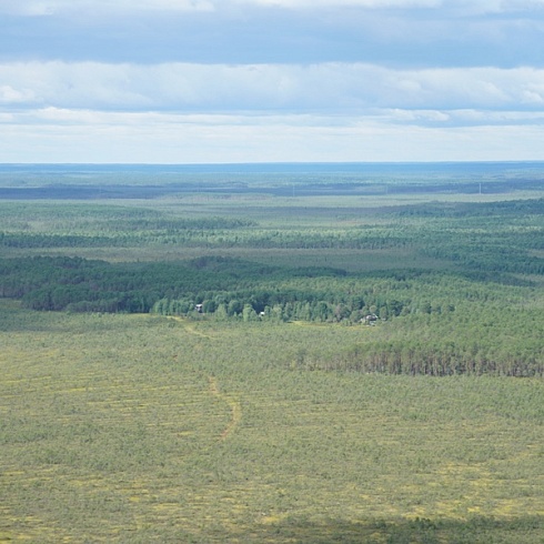 О проекте природного парка «Пунси» в Нефтеюганском районе